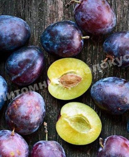 Алыча Эльдорадо