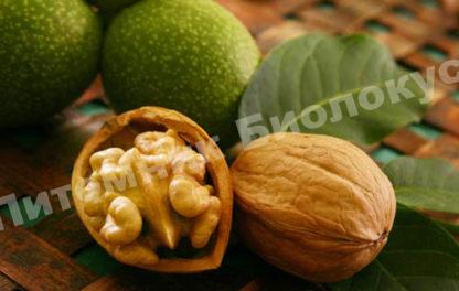 Грецкий орех Память Минова