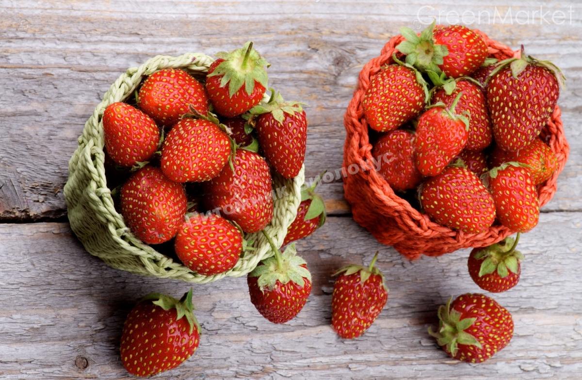 Клубника Янтарная