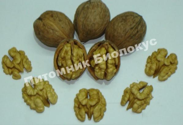 Грецкий орех Песчанский
