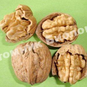 Грецкий орех Коржеуцкий