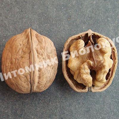 Грецкий орех Кодрене