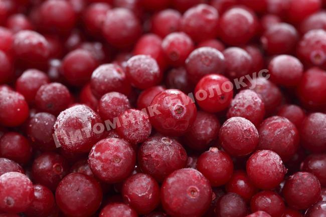 Брусника Эрнтекерн