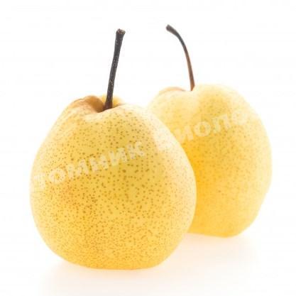 Груша Лимонка