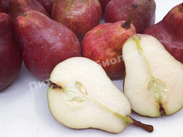 Груша Рози ред Бартлет