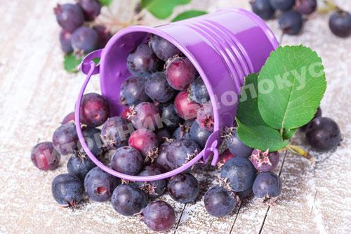 Ирга Снежинка