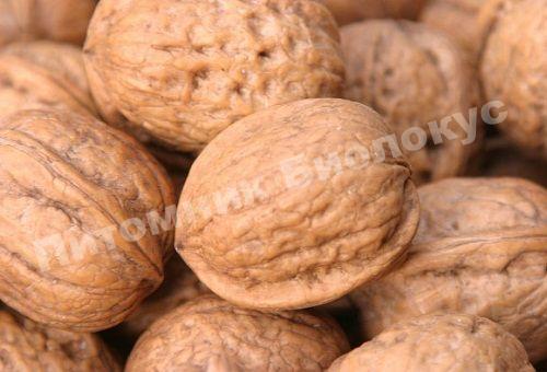 Грецкий орех Спектрум