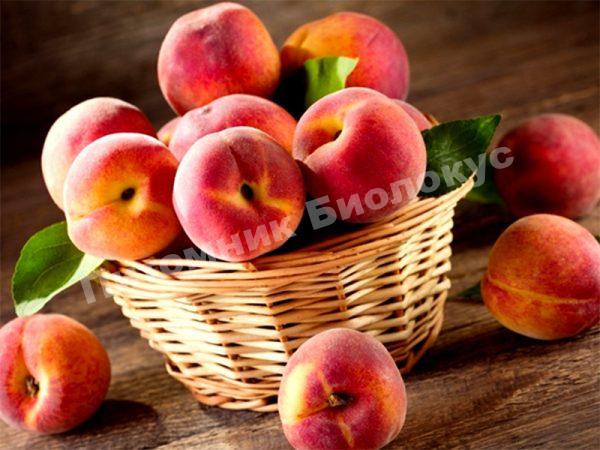 Персик Франт