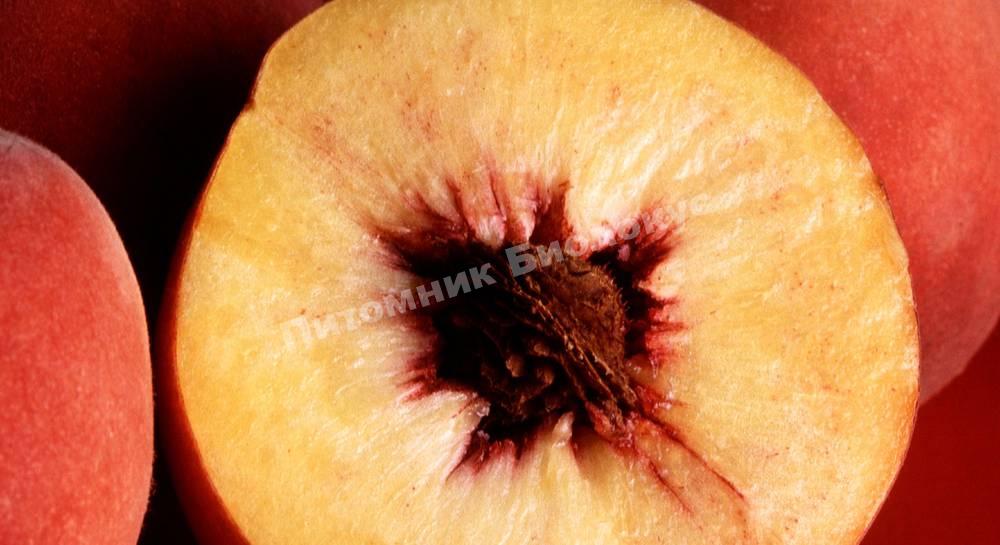 Персик Ирганайский поздний