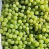 Виноград Бескосточковый